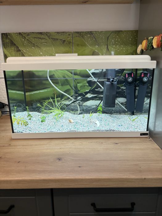 Vand Acvariu de 60 Litri Complect