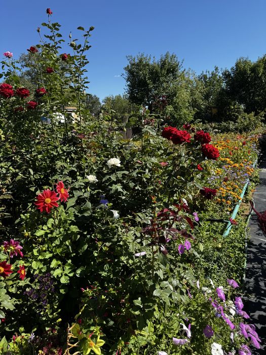 Продаётся дача ПК”Здравница”