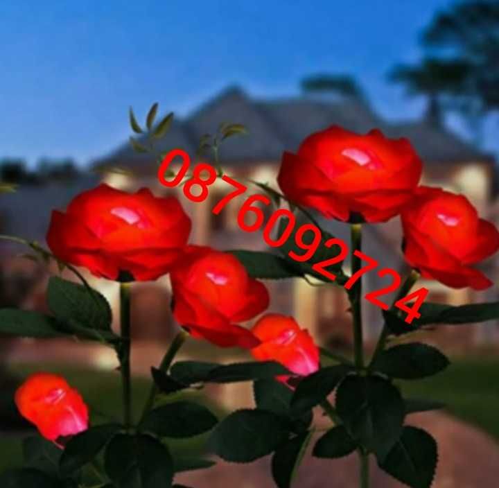 Ефектна Градинска соларна лампа Роза на ПРОМО ЦЕНА