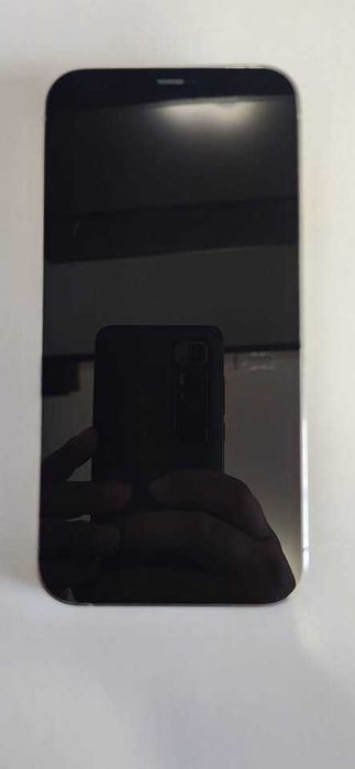 Iphone 12 Pro Max 256Gb