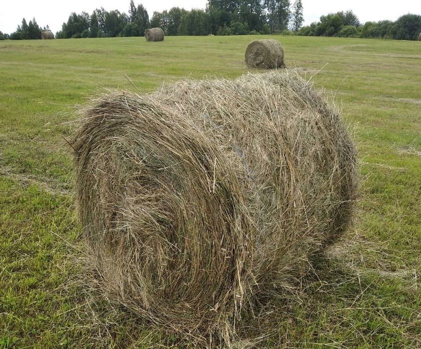Продам сено, солому в тюках