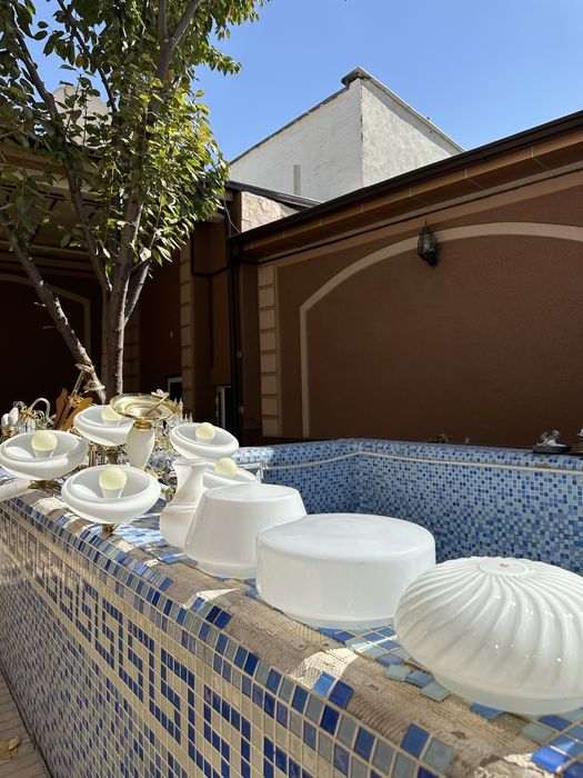 Lyustralar har xil turdagi