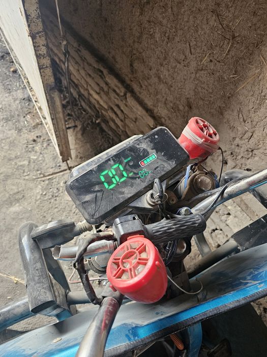 Муравейник сотилоди