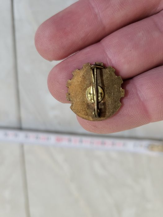 Insigna rara Metalul Hunedoara