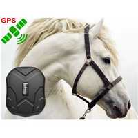 GPS трекер для лошадей и коров, ЖПС жылкыга, малга