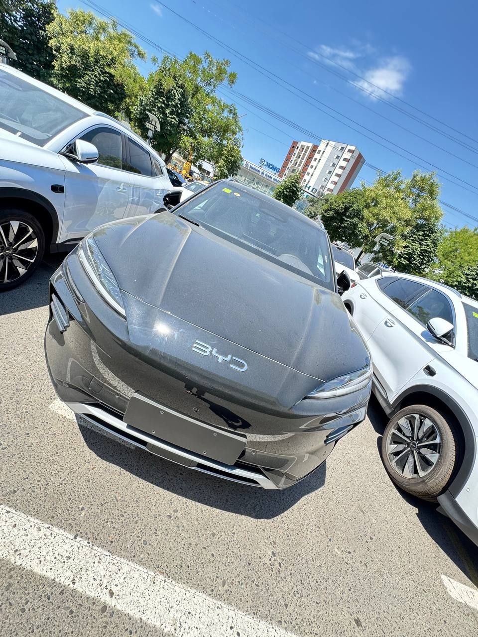 BYD Chempion 605 km notariusli 3 yil garantiya