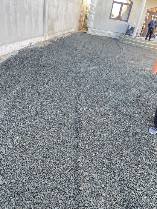 Mraniță de oaie macerată și pământ nisipos