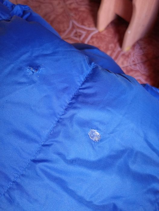 Geacă cu puf,The North Face