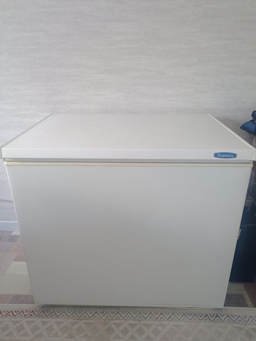 Морозильник Бирюса