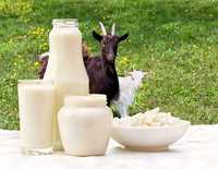 Lapte de capră, caș și brânză de capră, diferite produse