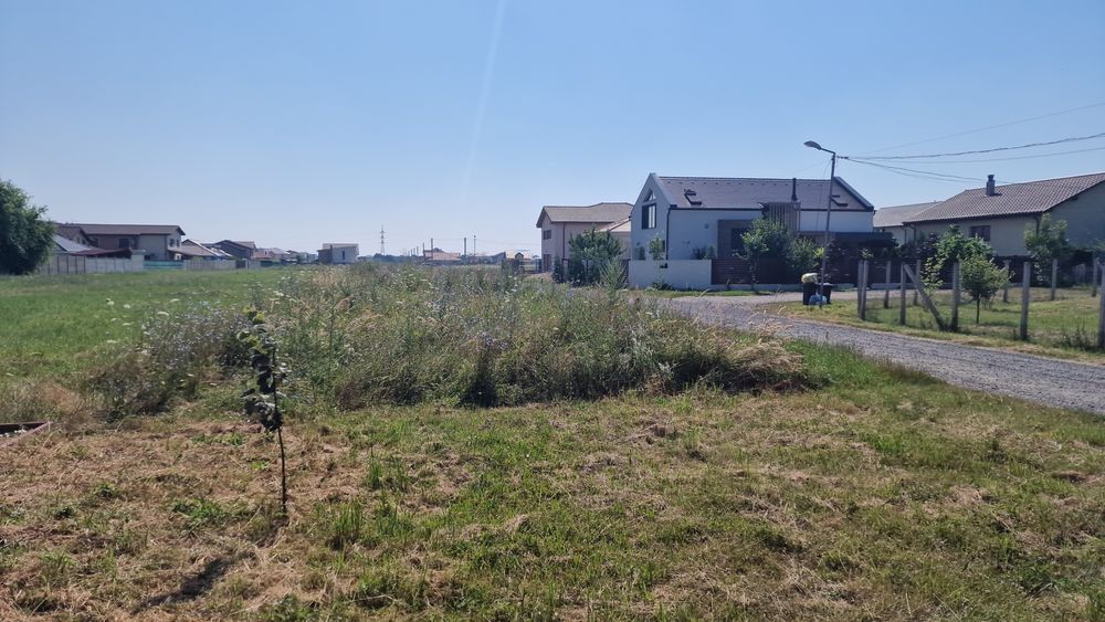 Servicii de cosire,curățare, defrișare  vegetatie terenuri.