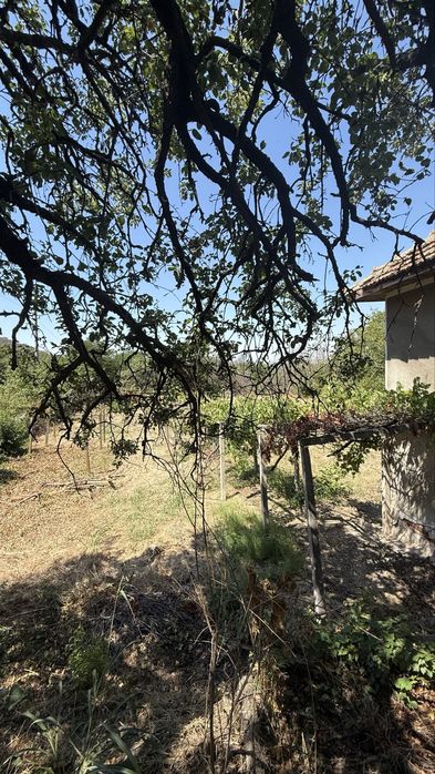 Продава се Къща в с. Долни Вадин, Област Враца - 150 кв.м за 85 €/кв.м - Снимка #9