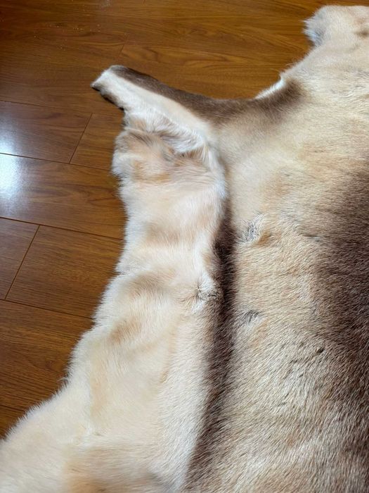 Blana naturala de ren , cumparata din Finlanda