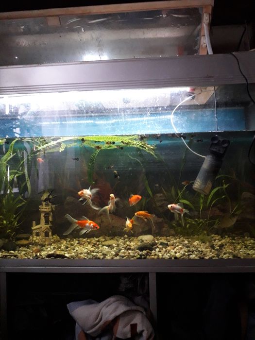 продам аквариум на 500л