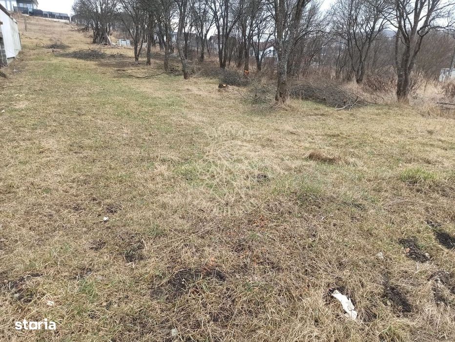 Teren intravilan 1953 mp utilitati- 4800 E/ ar Zona Valea Sigmirului