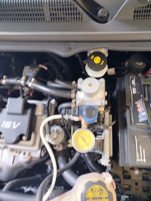 2019 cobilt radnoy