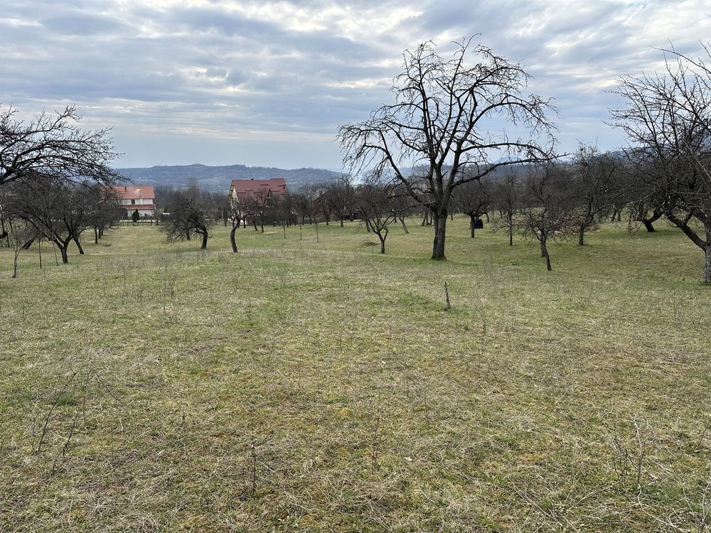 Vand 3420mp (34.2 ari), teren intravilan in localitatea Baia Sprie