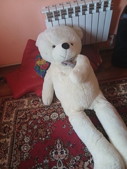Дау семиз мишка тедди сатам продам мишку тедди огромный