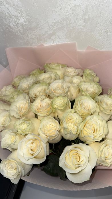 Продам цветы свежие