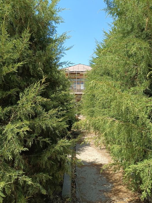 Продается дача на поселок Майский Кибрай 25 минут езды от Ташкент