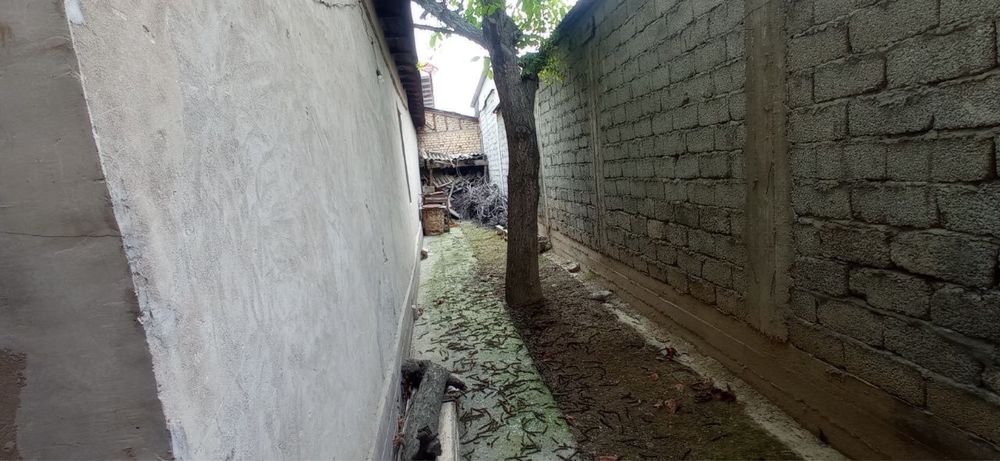 Hovli G'uncha obinazirda
