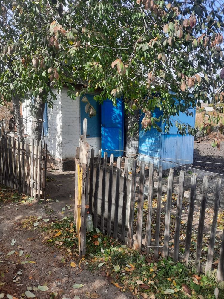Продается дача в п. Новая Бухтарма