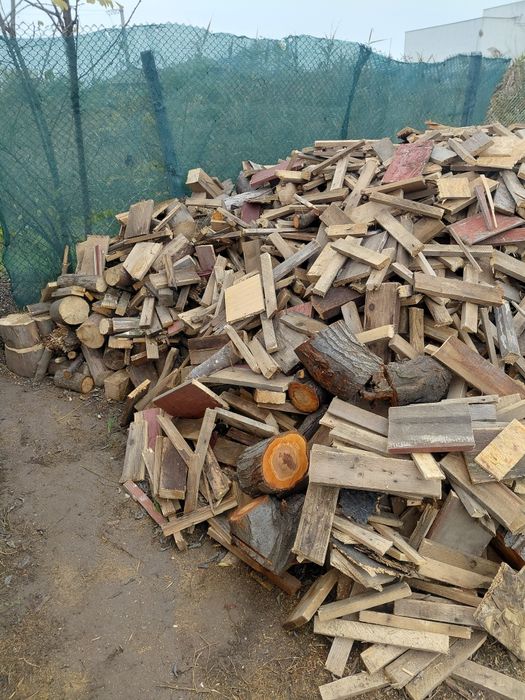 Lemne de foc gata tăiate palazu