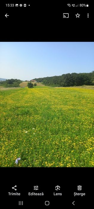 Vând 10 arii,  teren intravilan în zona Unirii