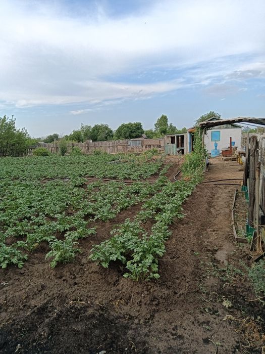 Продам дачный участок