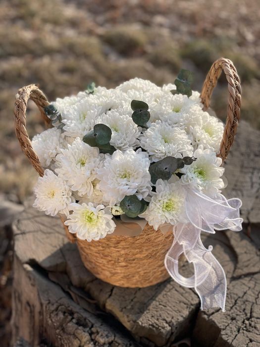 Корзина с хризантемой