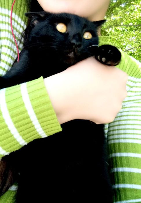 1 yosh Mushukchala hadyaga beriladi