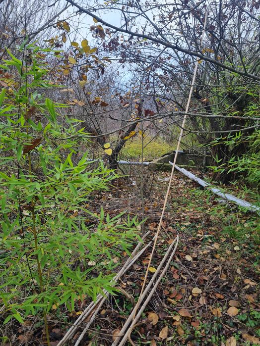 Парцел вилна зона с. Кичево