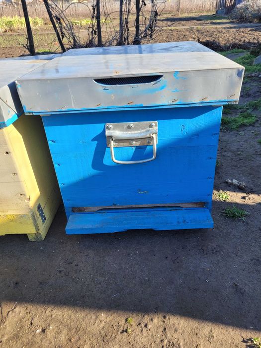 Cutii pentru stupi de vanzare.