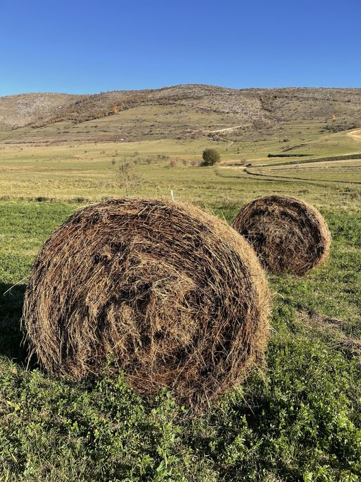 Vând baloți lucernă