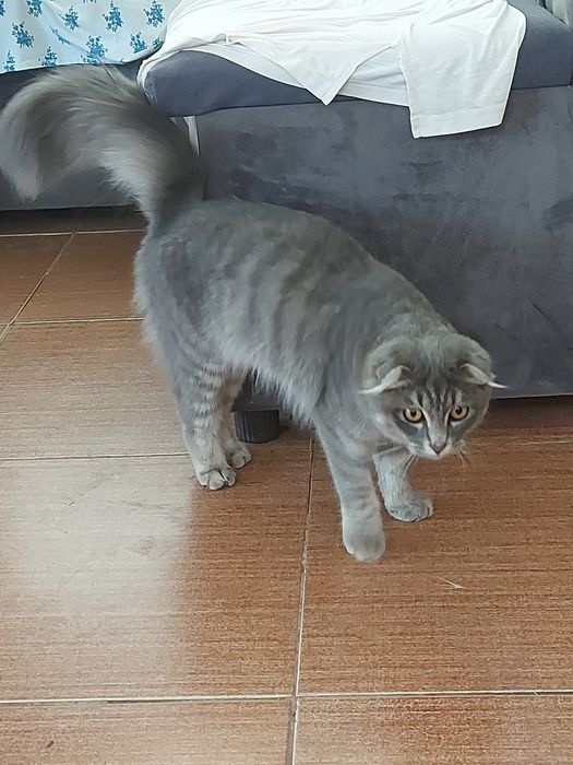 Продается срочно