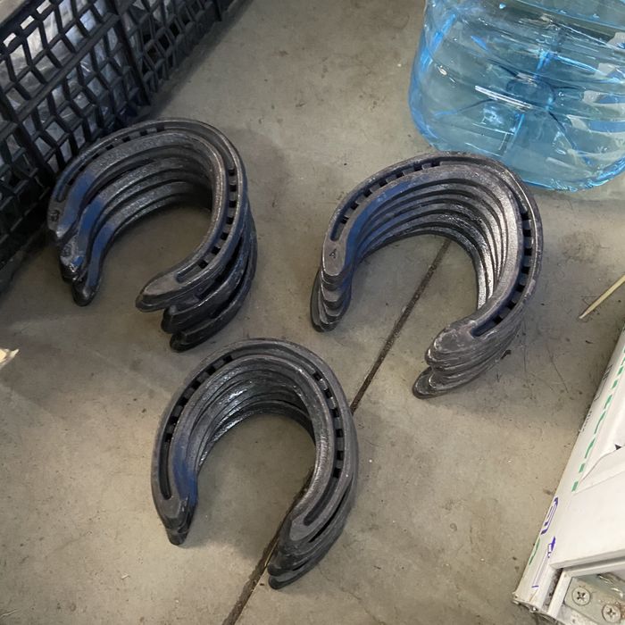 Темір таға, подкова