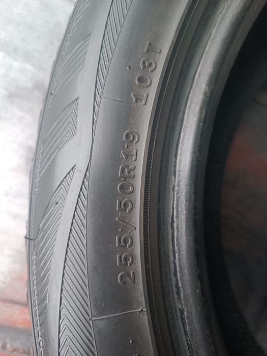 255/50/19 Green-max