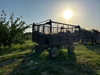 Телешка сатылады. Бағасы келісім бойынша.  6-лык  1 миллион