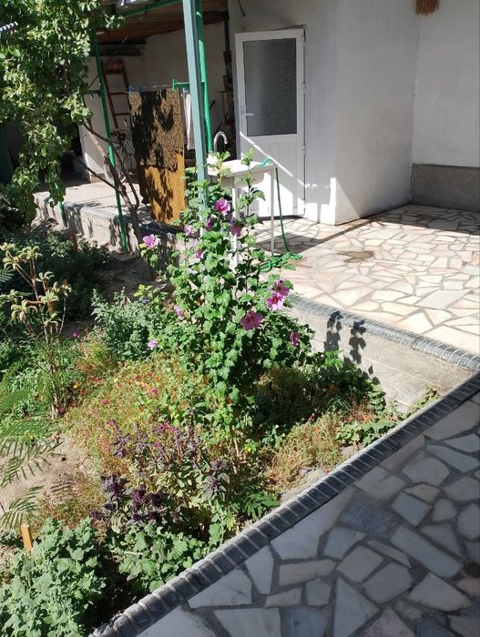 Эски шахарда обл гаи ёнида ховли сотилади ёки квартига алмашинилади