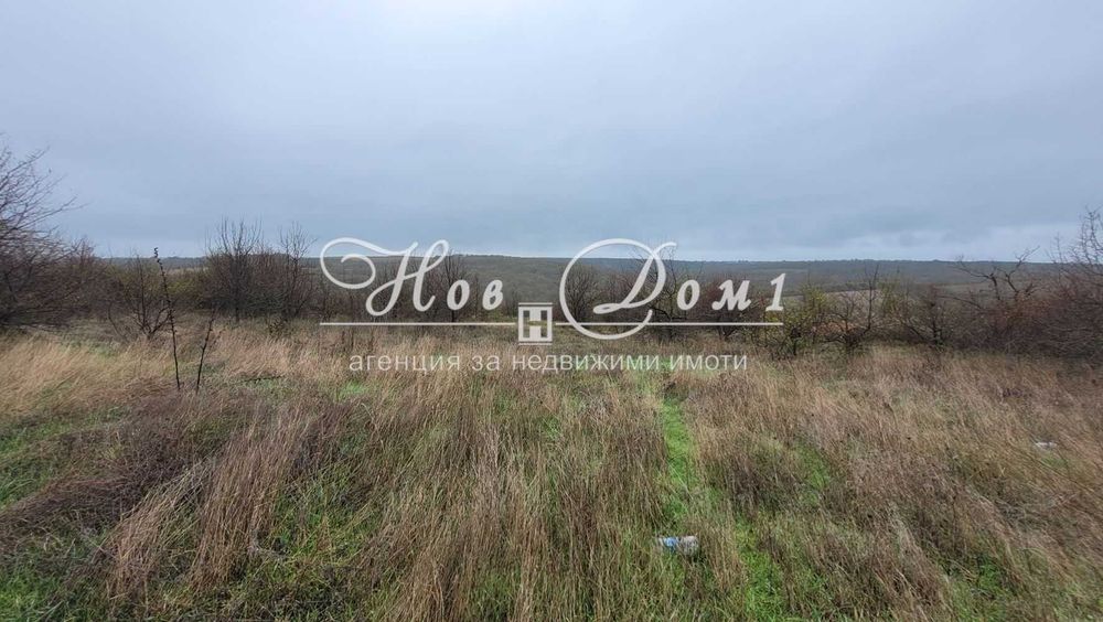 Голям парцел - южен склон - добър достъп -