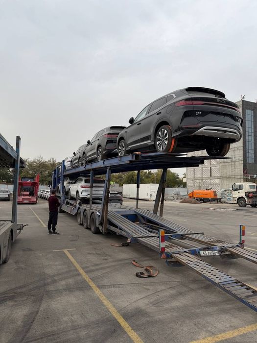 Byd chempion smart 605