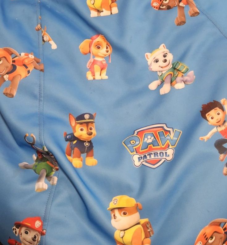 Барбарон Paw Patrol