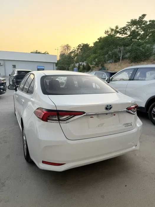 Toyota Carolla 2025 yangi
