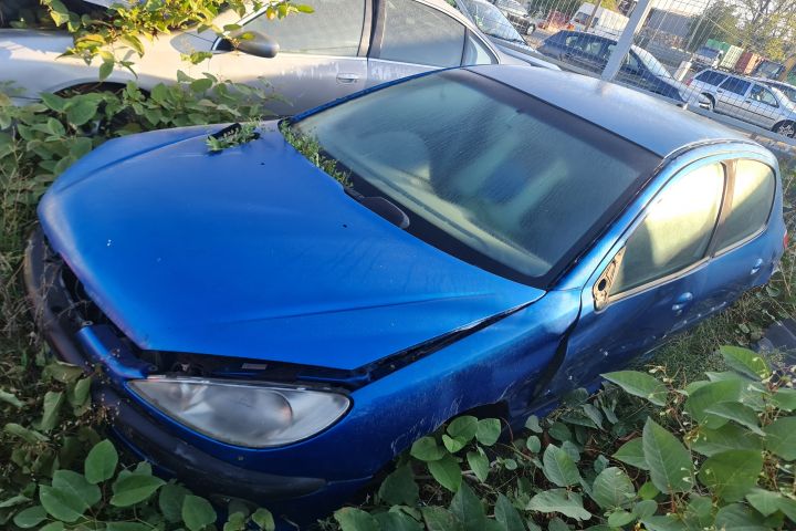 Piese Peugeot 206 prima generatie