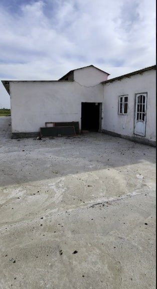 В Таш.области, Уртачирчикском р-не (Сурум)
П