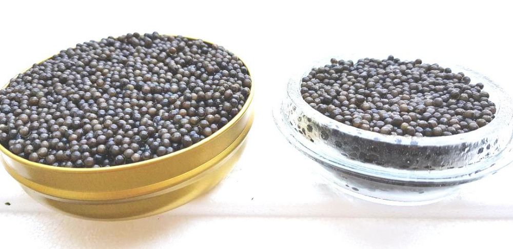 Icre Negre Caviar Sevruga 50gr, 100gr