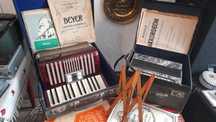 Armonica Lucia și Hohner