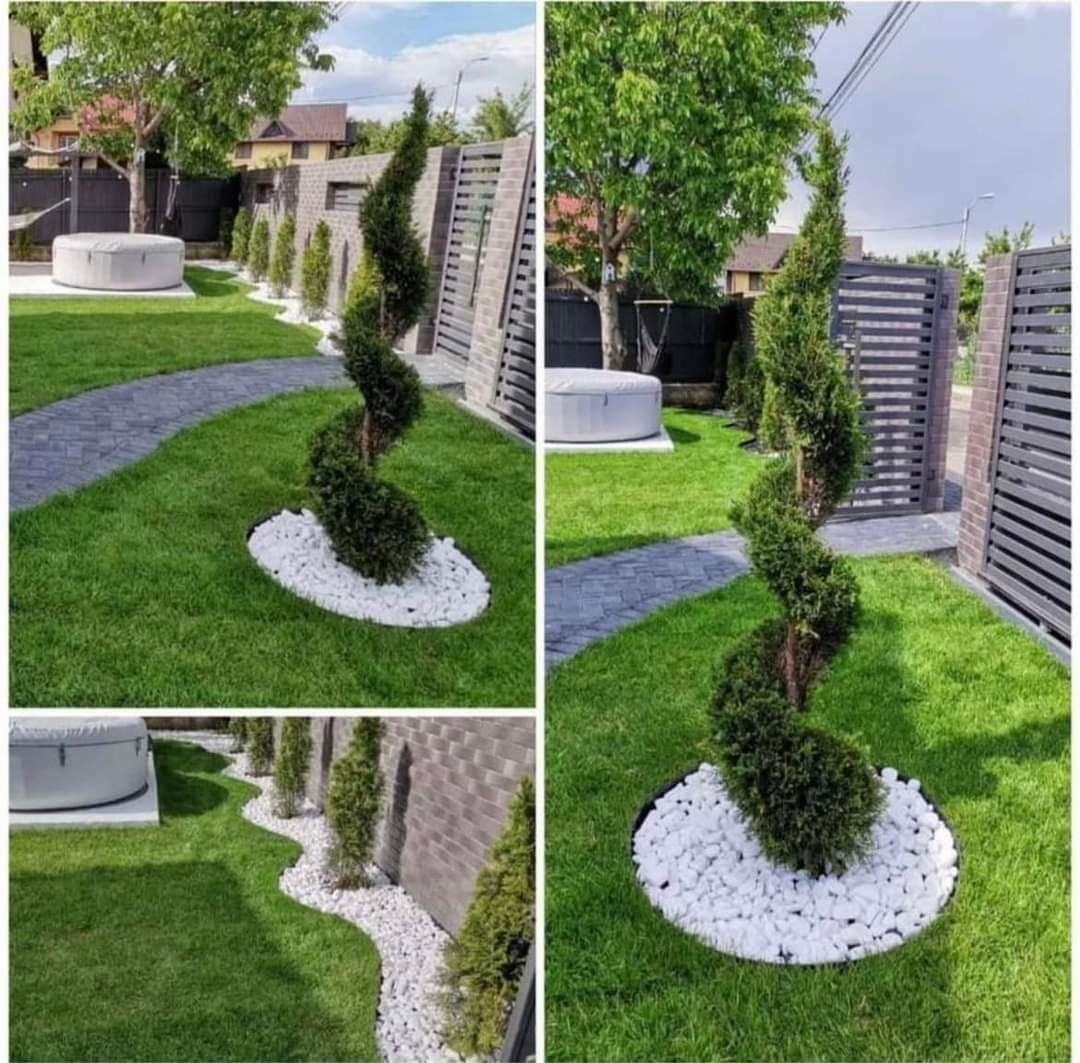 Vând plante ornamentale oriunde în țară execut grătare cascade cu tot