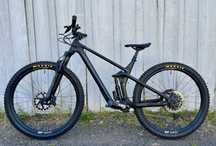 Canyon Strive CF roti 29 L