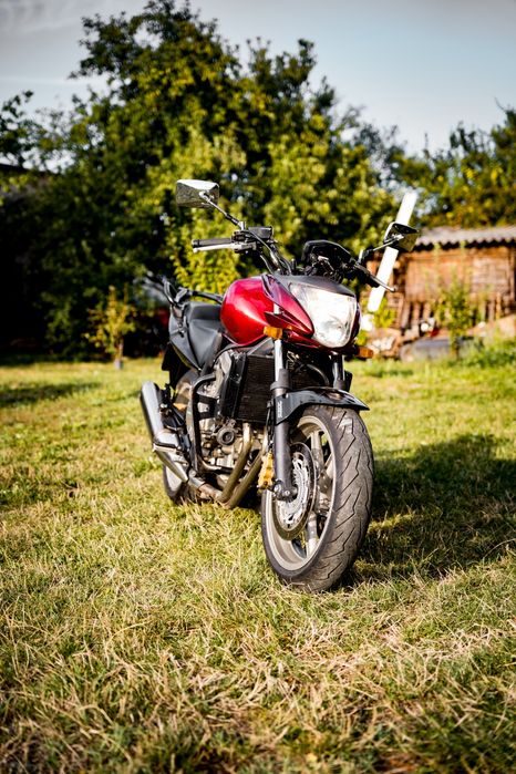 Honda CBF 600SA 2008 pc43